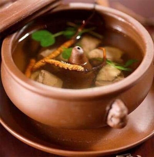 Cách chế biến của đông trùng hạ thảo trong nồi đất