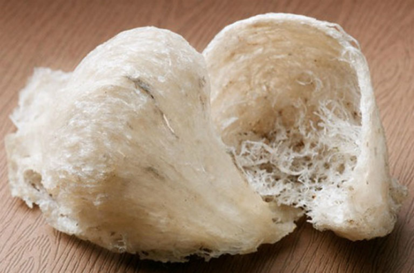 Tổ yến thô giá bao nhiêu?