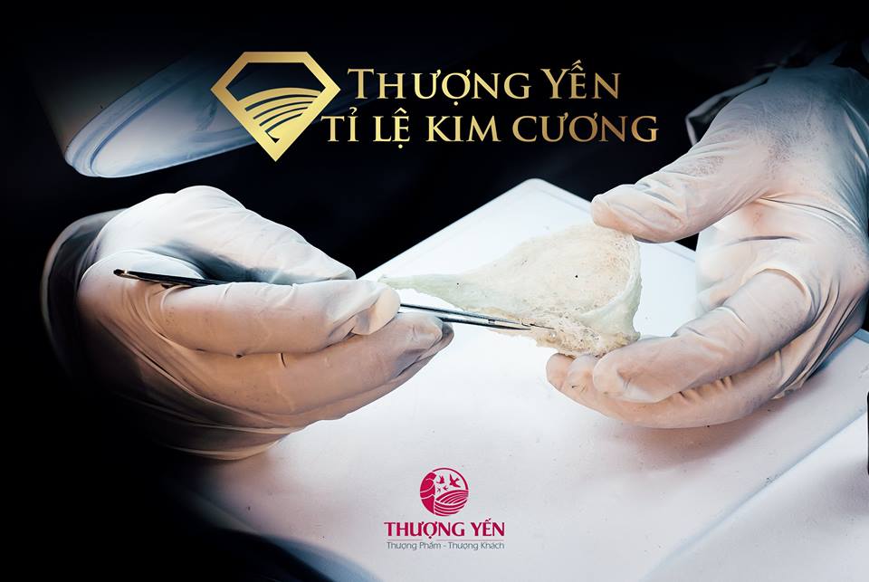 Lưu bản nháp tự động Lưu bản nháp tự động